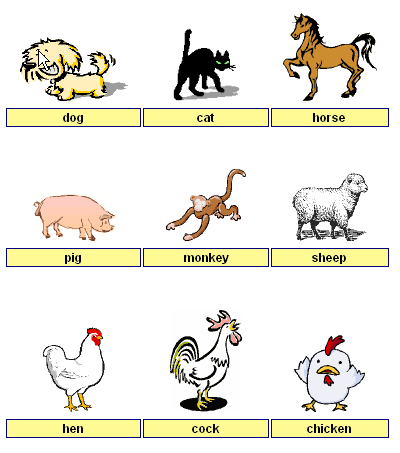 animals-01